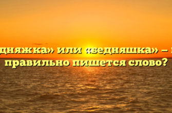 «Бедняжка» или «бедняшка» — как правильно пишется слово?