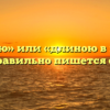 «Длинною» или «длиною в жизнь» — как правильно пишется слово?