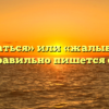 «Жаловаться» или «жалываться» — как правильно пишется слово?
