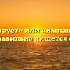 «Импонирует» или «импанирует» — как правильно пишется слово?