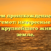Исследуем происхождение и смысл слова бегемот: интересные факты о названии крупнейшего животного на земле.