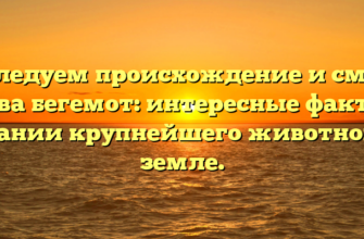 Исследуем происхождение и смысл слова бегемот: интересные факты о названии крупнейшего животного на земле.