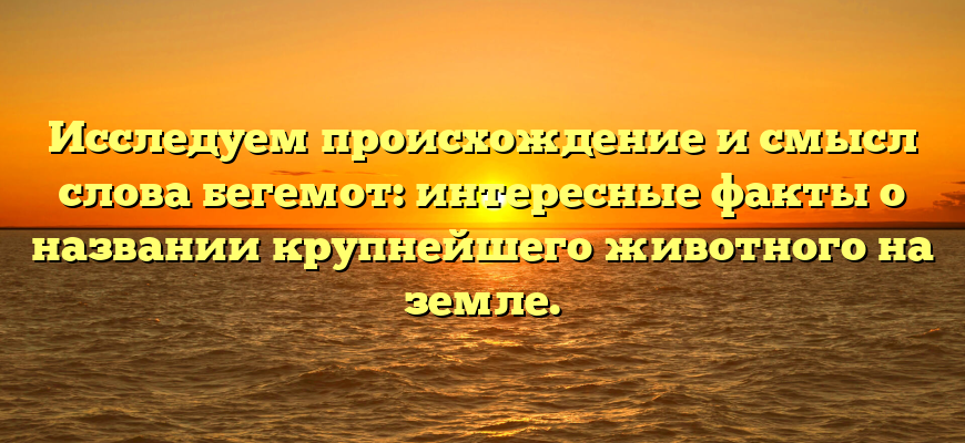 Исследуем происхождение и смысл слова бегемот: интересные факты о названии крупнейшего животного на земле.