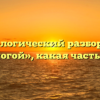 Морфологический разбор слова «безногой», какая часть речи