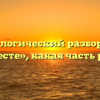 Морфологический разбор слова «вместе», какая часть речи