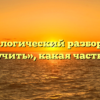 Морфологический разбор слова «выручить», какая часть речи