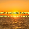 Морфологический разбор слова «долбишь», какая часть речи
