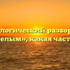 Морфологический разбор слова «загорелым», какая часть речи