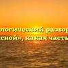 Морфологический разбор слова «запасной», какая часть речи