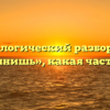 Морфологический разбор слова «исполнишь», какая часть речи