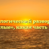 Морфологический разбор слова «кислые», какая часть речи