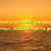 Морфологический разбор слова «мель», какая часть речи