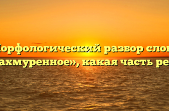 Морфологический разбор слова «нахмуренное», какая часть речи