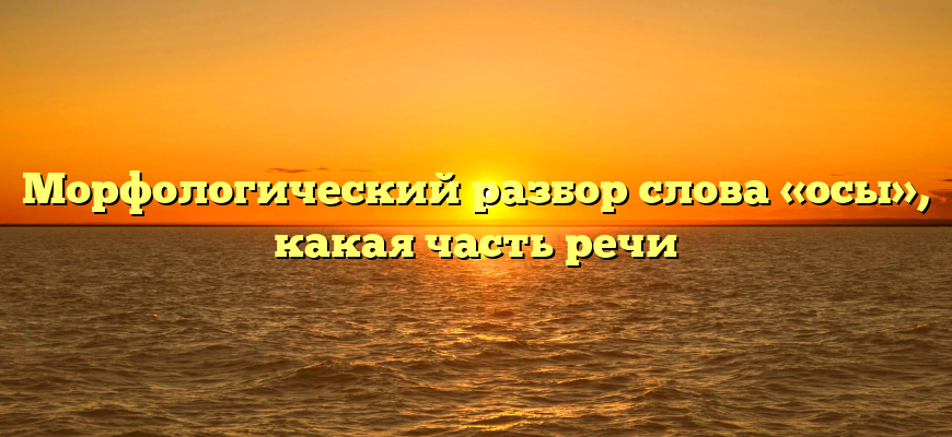 Морфологический разбор слова «осы», какая часть речи