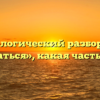 Морфологический разбор слова «питаться», какая часть речи