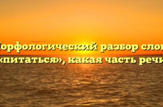 Морфологический разбор слова «питаться», какая часть речи