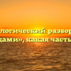 Морфологический разбор слова «плодами», какая часть речи