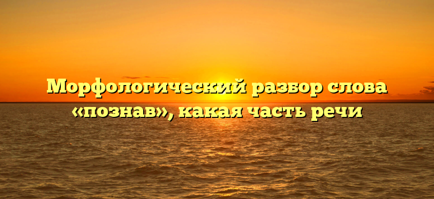 Морфологический разбор слова «познав», какая часть речи