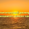 Морфологический разбор слова «сокровищами», какая часть речи