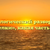 Морфологический разбор слова «тарелки», какая часть речи