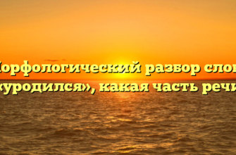Морфологический разбор слова «уродился», какая часть речи