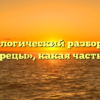 Морфологический разбор слова «храбрецы», какая часть речи