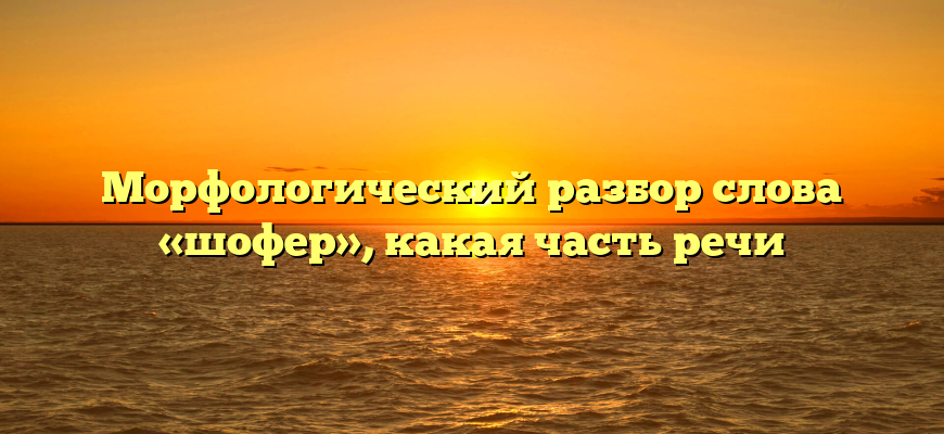 Морфологический разбор слова «шофер», какая часть речи
