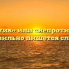 «Не против» или «непротив» — как правильно пишется слово?