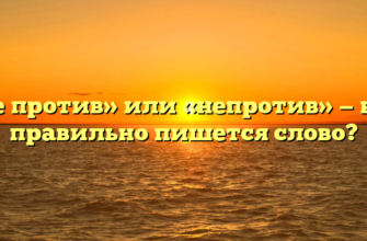 «Не против» или «непротив» — как правильно пишется слово?