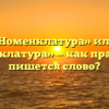 «Номенклатура» или «нуменклатура» — как правильно пишется слово?