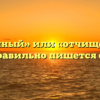 «Очищенный» или «отчищенный» — как правильно пишется слово?
