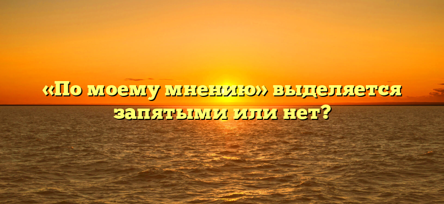 «По моему мнению» выделяется запятыми или нет?