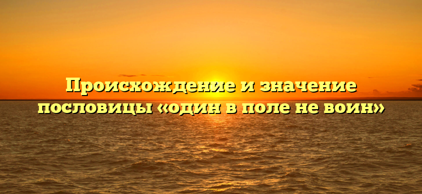 Происхождение и значение пословицы «один в поле не воин»
