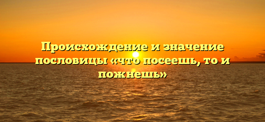 Происхождение и значение пословицы «что посеешь, то и пожнешь»