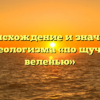 Происхождение и значение фразеологизма «по щучьему веленью»