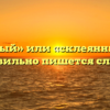 «Склеенный» или «склеянный» — как правильно пишется слово?