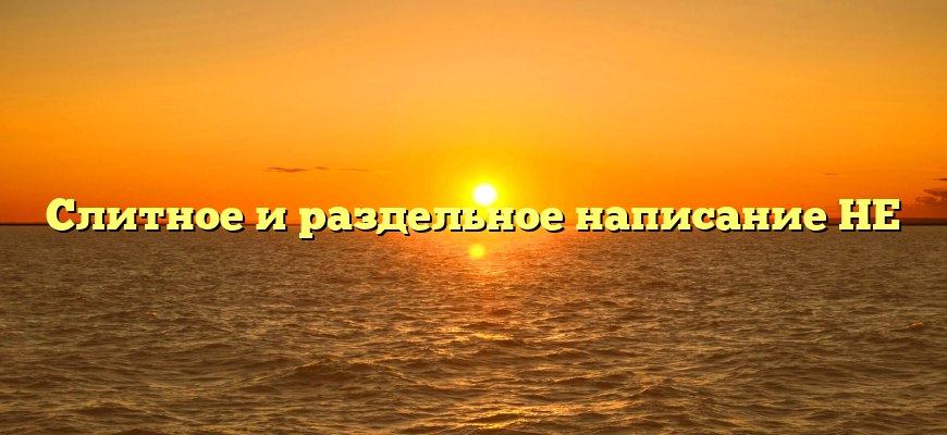 Слитное и раздельное написание НЕ
