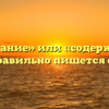 «Содержание» или «содержимое» — как правильно пишется слово?