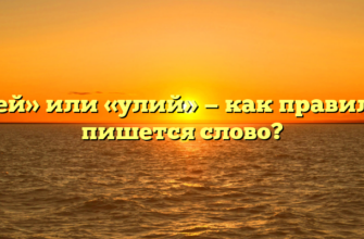 «Улей» или «улий» — как правильно пишется слово?