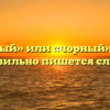 «Чёрный» или «чорный» — как правильно пишется слово?