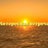 «Интересная встреча»