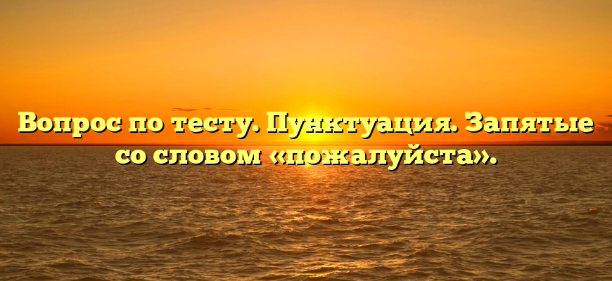 Вопрос по тесту. Пунктуация. Запятые со словом «пожалуйста».