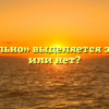 «Желательно» выделяется запятыми или нет?