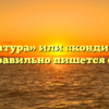 «Кандидатура» или «кондидатура» — как правильно пишется слово?