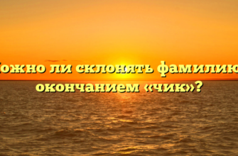 Можно ли склонять фамилию с окончанием «чик»?