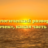 Морфологический разбор слова «бабочек», какая часть речи