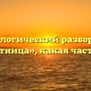 Морфологический разбор слова «беспутница», какая часть речи