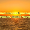 Морфологический разбор слова «воплощая», какая часть речи