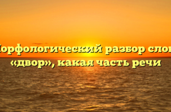 Морфологический разбор слова «двор», какая часть речи