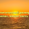 Морфологический разбор слова «ныряла», какая часть речи